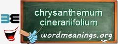 WordMeaning blackboard for chrysanthemum cinerariifolium